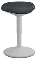 Esselte Leitz Ergo Active Sitzhocker mit Komfortsitz grau (65440085)