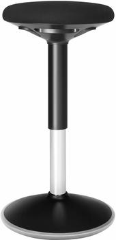 Songmics Fitness-Hocker (OSC05BK)