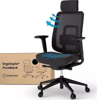 Ergotopia PureBack (RGOPB2)