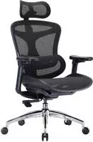 SIHOO Doro C300 B&uuml;rostuhl Ergonomisch mit Dynamischer Lendenwirbelst&uuml;tze 
