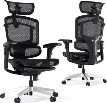 FLEXISPOT ErgoX Pro schwarz