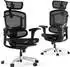 FLEXISPOT ErgoX Pro schwarz