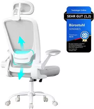 Songmics B&uuml;rostuhl ergonomisch, Mesh, Wippfunktion, klappbare Armlehnen (OBNDE047G01)