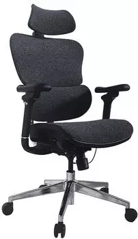 Equip Ergonomischer B&uuml;rostuhl mit Kopfst&uuml;tze und Armlehnen (651052)