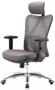 SIHOO J86 Bürostuhl ergonomisch, verstellbare Lordosenstütze, 150kg, grau (86330) – SIHOO J86 – Ergonomischer Drehstuhl mit verstellbarer Lordosenstütze