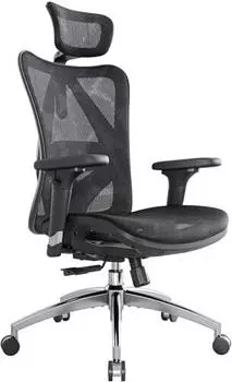 SIHOO M57 Ergonomischer Bürostuhl, Netz-Hochlehne, 3D Armlehnen, Lendenwirbelstütze, 150kg (M57-M015)