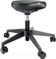 Esselte Leitz Ergonomischer Sitzhocker mit Rollen (65780095)