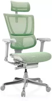 HJH Office ERGOHUMAN SLIM G GEN2 Bürostuhl Netz, grün (ERGOHUMAN SLIM G GEN2)