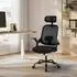 Woltu Bürostuhl ergonomisch, Netzstoff, schwarz, mit Kopfstütze & Lendenwirbelstütze