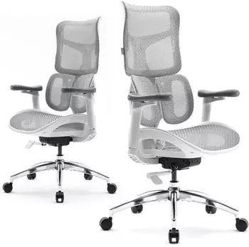 SIHOO Doro S100 Ergonomischer Bürostuhl, Doppelte Lendenstütze, 4D-Armlehnen, Weiß