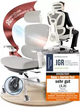 CLOUVOU ProSeat Ergonomischer B&uuml;rostuhl bis 150kg, 4D-Armlehnen, creme/grau