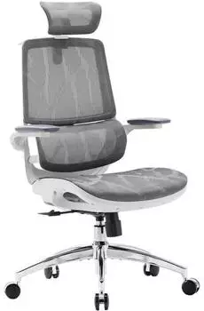 LuxusKollektion Ergonomischer B&uuml;rostuhl 3D-Armlehnen, Doppellehne, wei&szlig; (57548)
