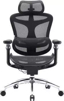 Sihoo Doro C300 Pro Ergonomischer Bürostuhl, schwarz (DORO-C300-PRO-M101)