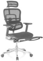 hjh OFFICE Luxus Chefsessel ERGOHUMAN PLUS LEGPRO GEN2 Netzstoff mit Armlehnen