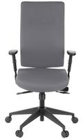 MID.YOU Drehstuhl Pro-Tec 300 Anthrazit