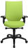 Topstar Autosyncron 2