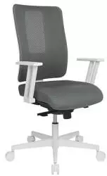 Topstar Sitness Life 50 graugrün
