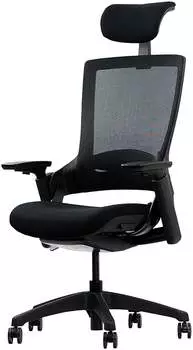 Ergotopia NextBack schwarz