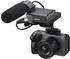 Sony FX30