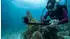 GoPro HERO13 Black Standard