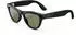 Ray-Ban Meta Skyler RW4010