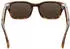 META Adventurer Classic Tortoise/Brown Lenses