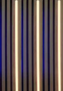 Xenon Kamera JayTech Video 12 Mpx + Unterwassergehäuse