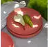 Koziol Club Plate Flacher Teller Ø26cm 4er-Set (5005704)