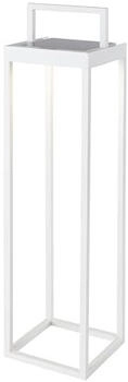 Lumisky Big Hydra h50cm