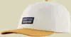 Patagonia Caps