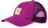 Carhartt Buffalo Cap