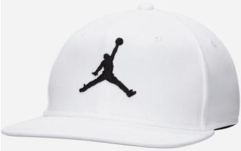 Nike Jordan Pro (FD5184) white/photon dust/black