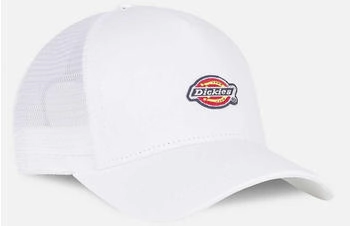 Dickies Hanston Kappe DK0A4YV3C581