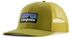Patagonia P-6 Trucker Hat (38289)