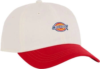 Dickies Hardwick Two-Tone Baseball Kappe one egret