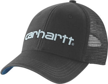 Carhartt Snapback Cap Dunmore 101195 schwarz dunkel horizont blau