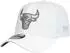 New Era 39thirty Flex Cap Stretch