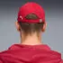 Puma Flex Cap ftblCulture (027088) rot