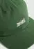 Levi's Rockridge Dad Cap Baseball Cap mit Stickerei (93069339) dunkelgrün/weiß