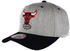 Mitchell & Ness Snapback Cap Chicago Bulls (INTL151) grey