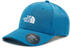 The North Face 66 Classic Cap (4VSV)