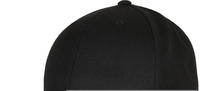 Flexfit Premium Curved Visor Snapback Cap (6789M) black