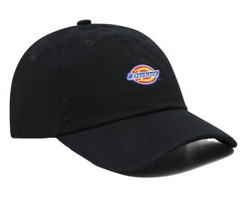 Dickies Cap Hardwick
