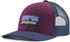 Patagonia P-6 Trucker Hat (38289)