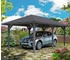 Skan Holz Einzelcarport Taunus 374x656 cm 218 cm Einfahrtshöhe dunkelgrau