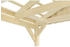 Skan Holz Doppelcarport Fichtelberg 618 x 808 cm natur