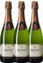 Bouvet-Ladubay Crémant de Loire Brut Blanc Excellence AOC
