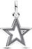 Pandora Sparkling star medallion charm (793032C01)
