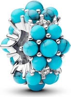 Pandora 793897C02 Silber Charm T&uuml;rkisfarbener Ozean