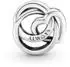 Pandora Charm-Armband Geschenk-Set 